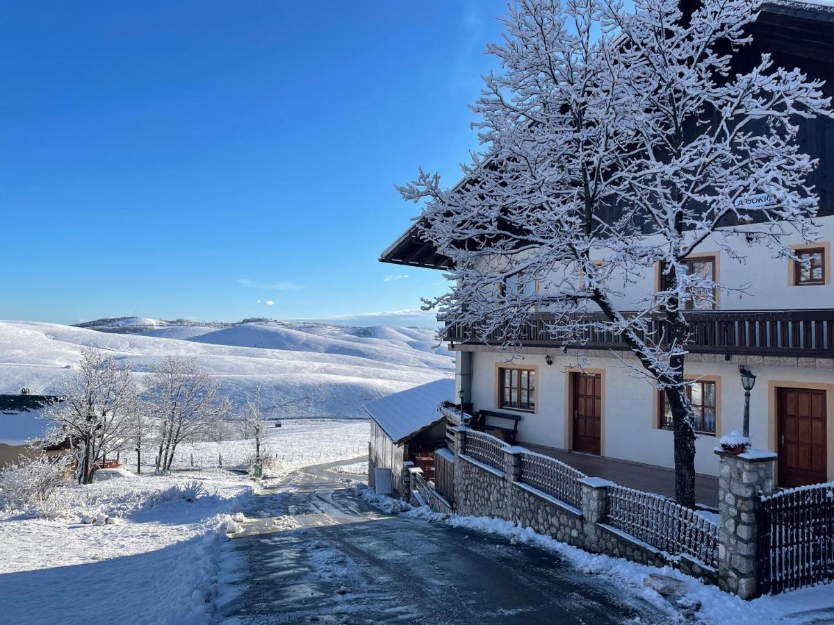 Guest House Vila Djokic Ζλάτιμπορ Εξωτερικό φωτογραφία